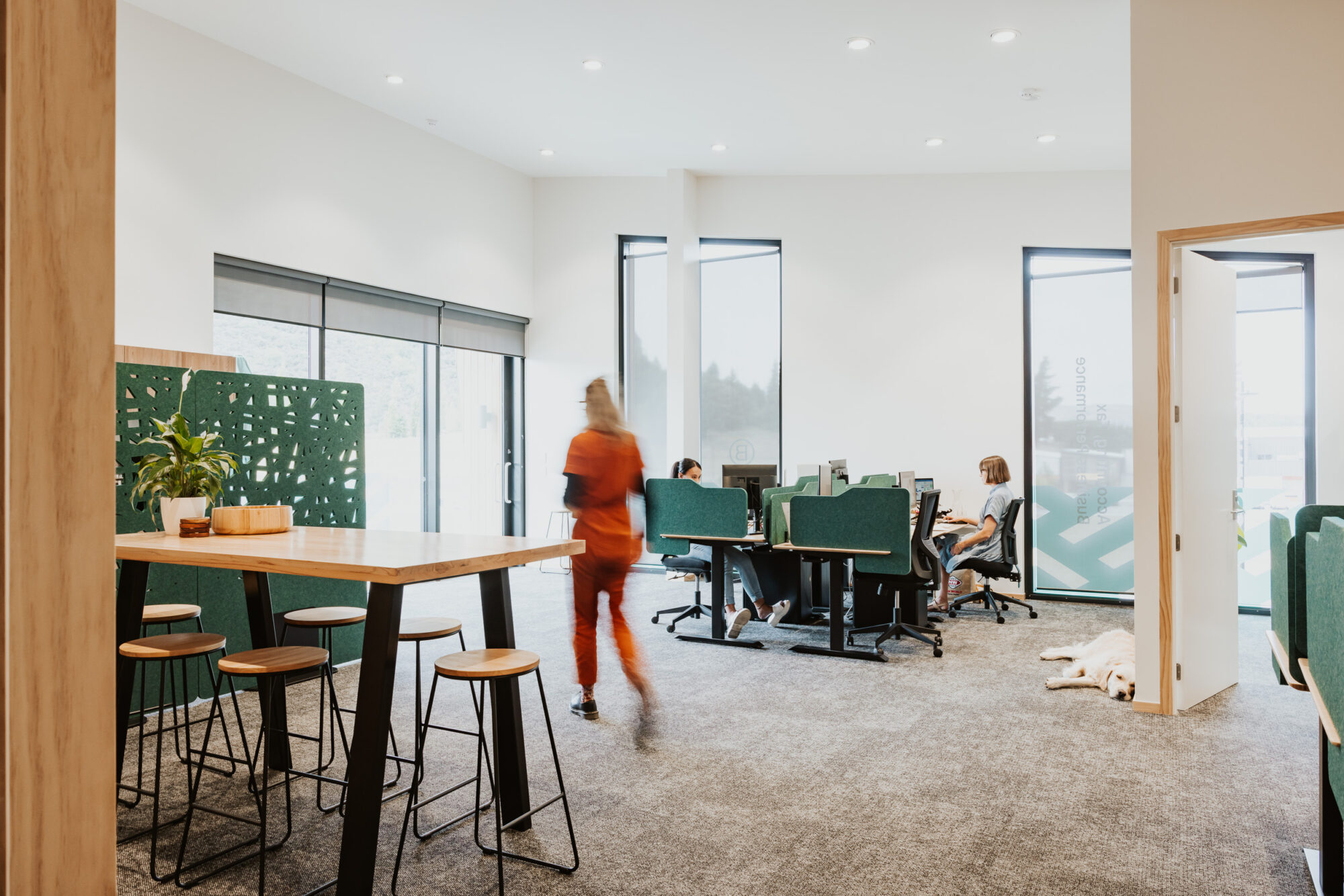 Interior of Green Hawk Accounting in Wanaka—a modern, open-plan office with natural light, green partitioned desks, and a collaborative workspace.