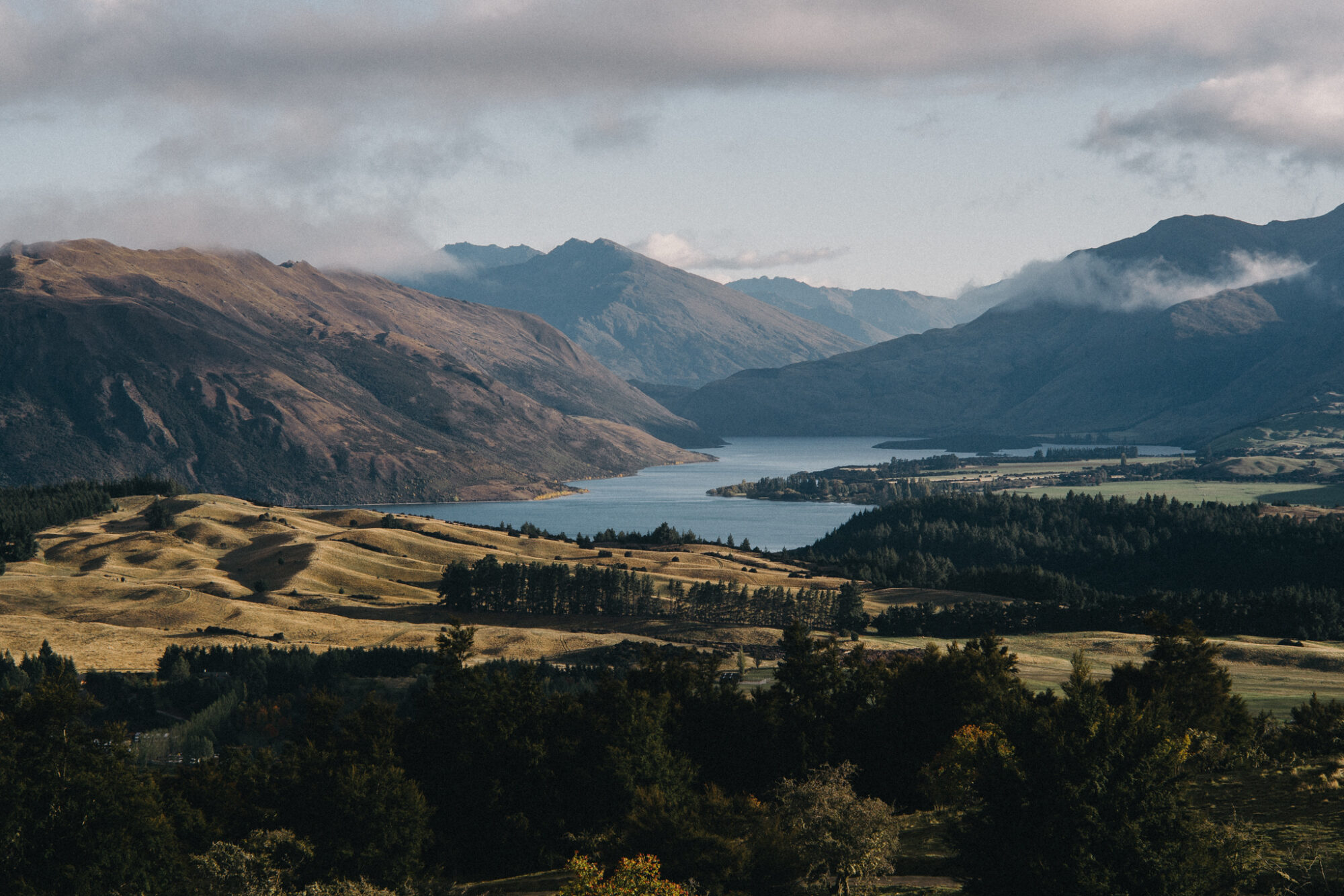 View over Sticky Forest towards Stevenson's Arm of Lake Wānaka, New Zealand, with golden hills, native pine plantation and Southern Alps mountains under dramatic clouds.