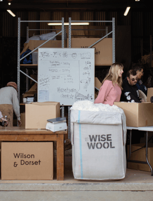 Love Wānaka EDM Header (3)